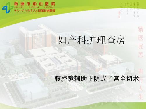 腹腔镜辅助下阴式子宫全切术