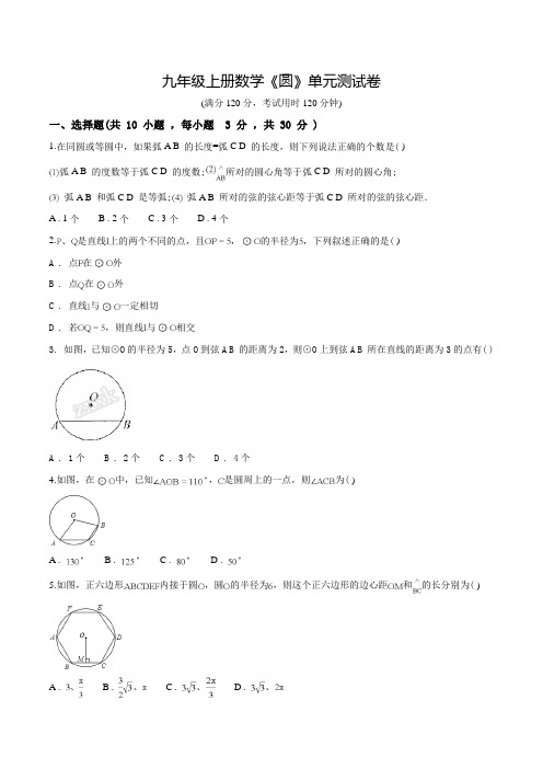 人教版九年级上学期数学《圆》单元测试卷附答案