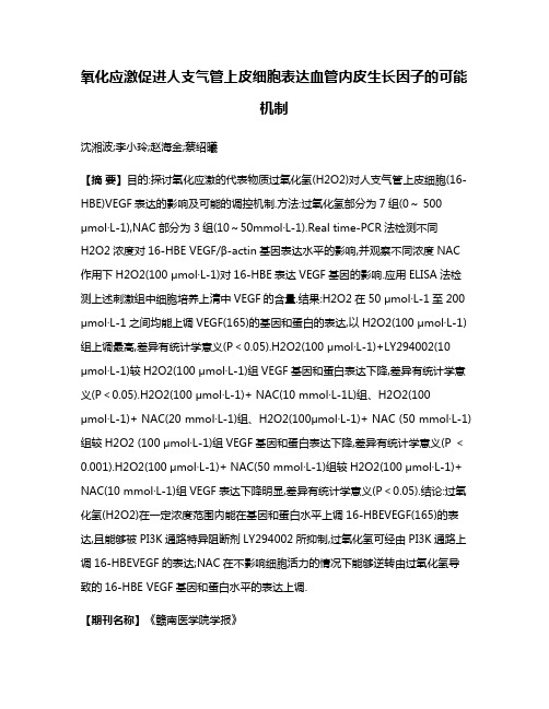 氧化应激促进人支气管上皮细胞表达血管内皮生长因子的可能机制