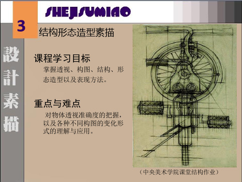 设计素描课件3.结构形态造型素描