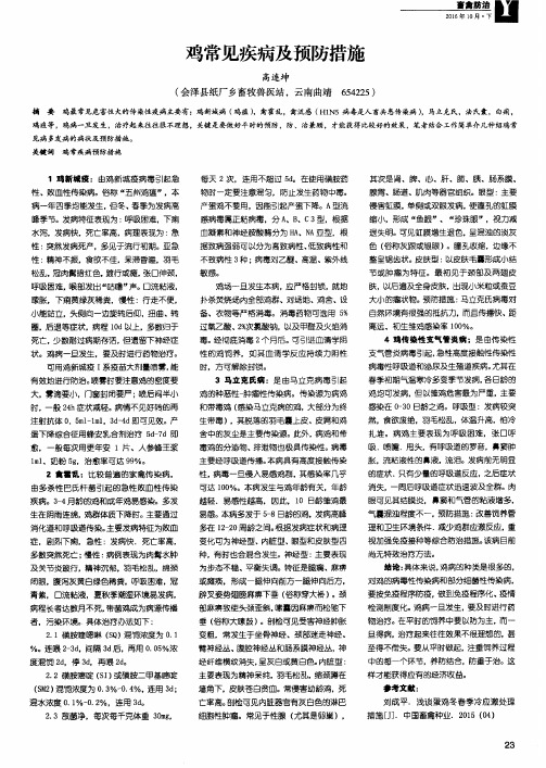 鸡常见疾病及预防措施