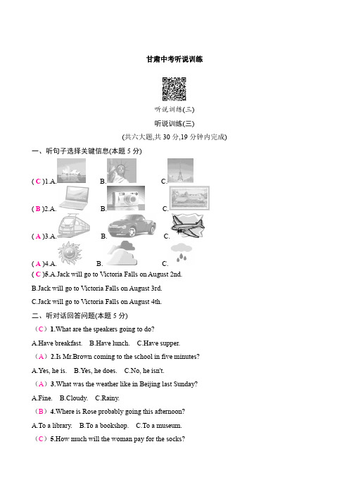 2025年人教版中考英语总复习听说训练 (3)