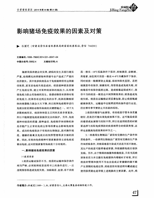 影响猪场免疫效果的因素及对策
