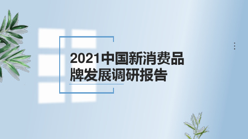 2021中国新消费品牌发展调研报告