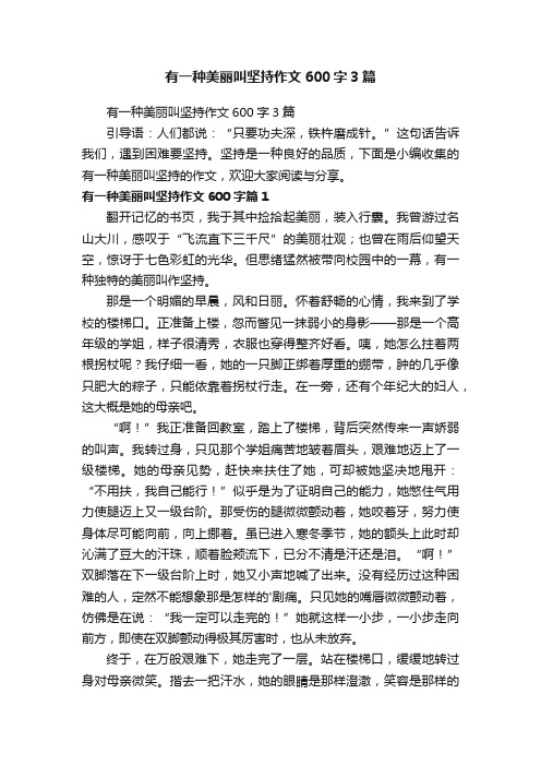 有一种美丽叫坚持作文600字3篇