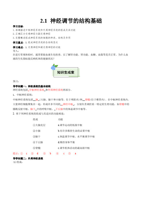 2.1 神经调节的结构基础(导学案)-2024-2025学年高二生物同步优秀备课资源(人教版2019