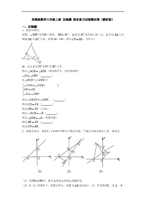 苏教版数学八年级上册 压轴题 期末复习试卷测试卷(解析版)