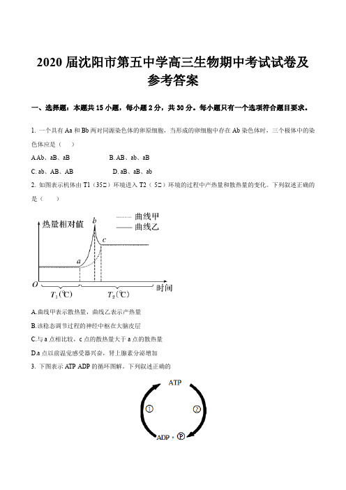 2020届沈阳市第五中学高三生物期中考试试卷及参考答案