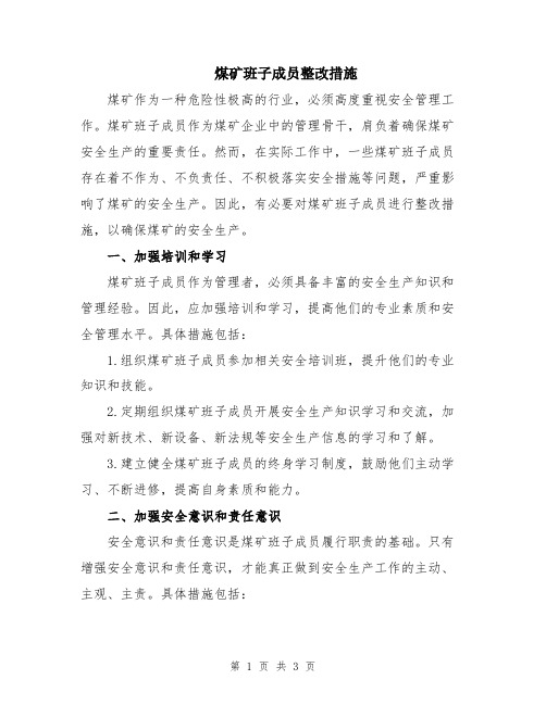 煤矿班子成员整改措施