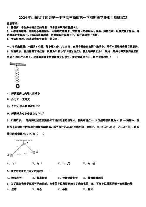 2024年山东省平原县第一中学高三物理第一学期期末学业水平测试试题含解析