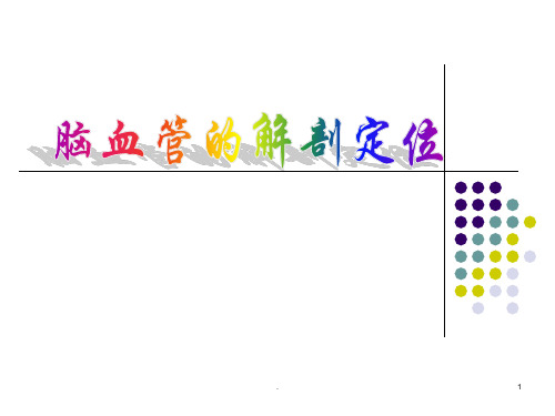 脑血管解剖定位(精)PPT课件