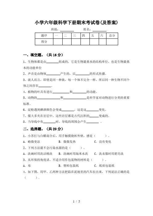 小学六年级科学下册期末考试卷(及答案)