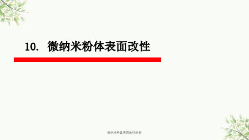 微纳米粉体表面改性剖析课件