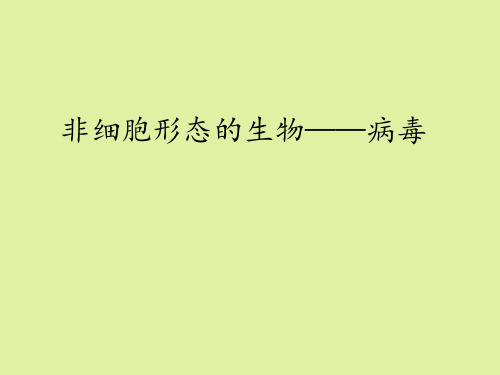 上海科学技术出版社高中生命科学第一册：非细胞形态的生物——病毒