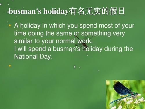 关于Holiday的一些表达