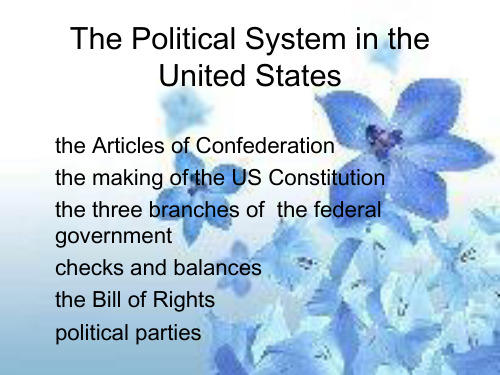 the political system in the united states   美国政治