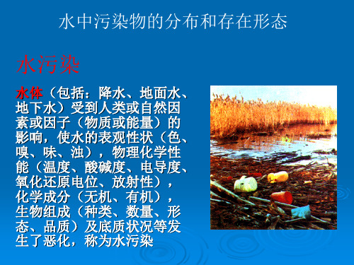 水环境化学水中污染物的分布和存在形态.ppt