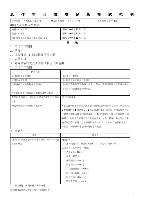 总体审计策略记录模式范例