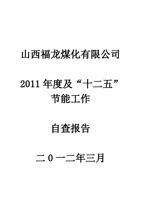 2011年度山西福龙煤化有限公司节能自查报告