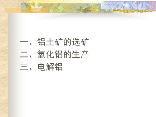 从铝土矿中提取铝-文档资料