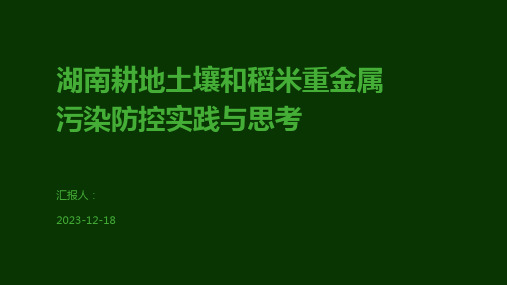 湖南耕地土壤和稻米重金属污染防控实践与思考