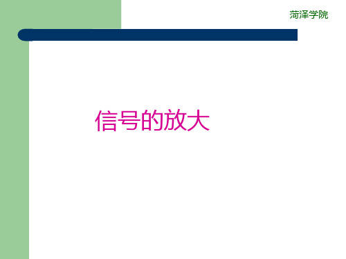 信号的放大与显示