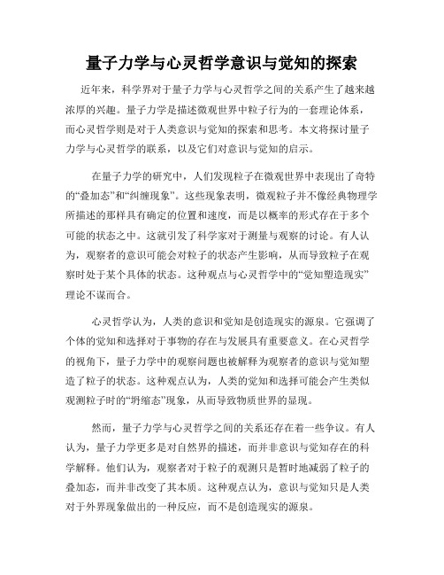 量子力学与心灵哲学意识与觉知的探索