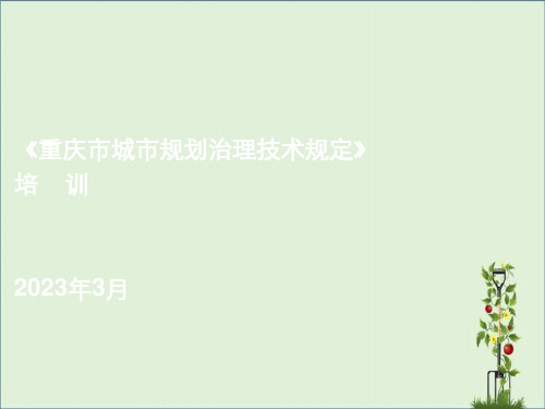 4-公共空间《最新重庆城市规划管理技术规定》宣讲