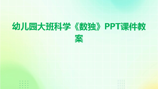 幼儿园大班科学《数独》PPT课件教案