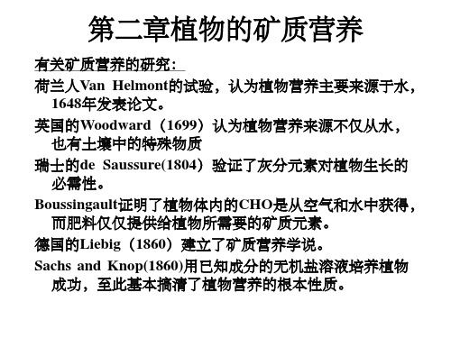 《矿质营养》PPT课件