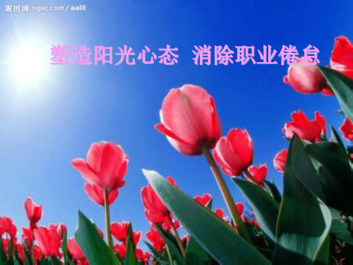 塑造阳光心态-消除职业倦怠