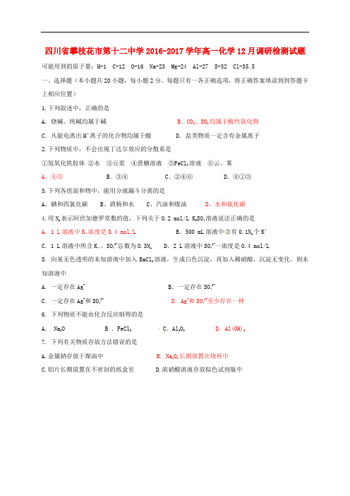 四川省攀枝花市第十二中学高一化学12月调研检测试题