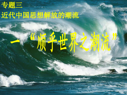 《顺乎世界之潮流》ppt