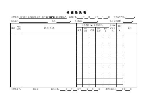 岩芯钻探编录表