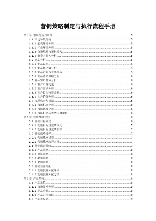 营销策略制定与执行流程手册