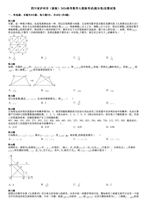 四川省泸州市(新版)2024高考数学人教版考试(提分卷)完整试卷