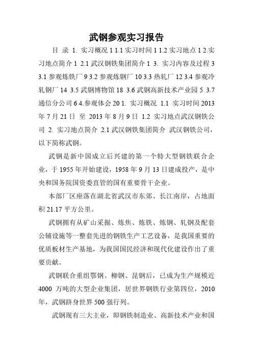 武钢参观实习报告.doc