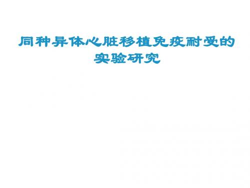 同种异体心脏移植免疫耐受的实验研究  ppt课件