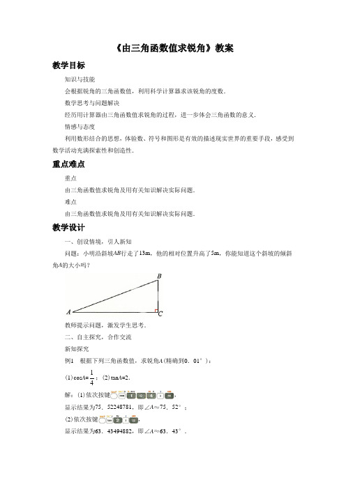 苏科版九年级数学下册 由三角函数值求锐角教案