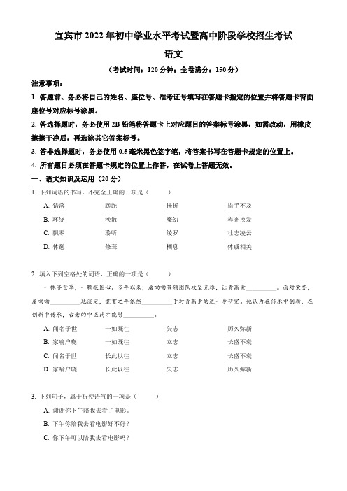 2022年四川省宜宾市中考语文试卷(含答案与解析)