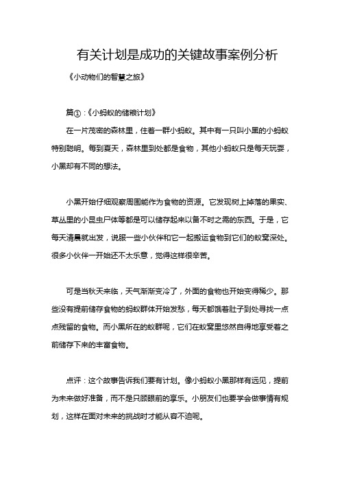 有关计划是成功的关键故事案例分析