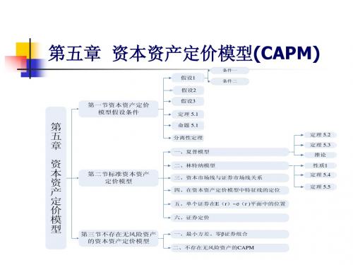 资本资产定价模型讲义