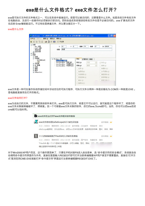 exe是什么文件格式？exe文件怎么打开？