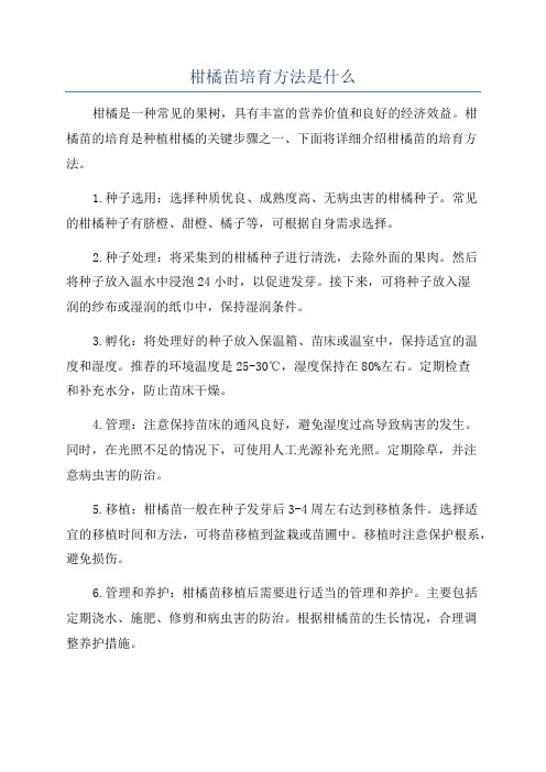 柑橘苗培育方法是什么