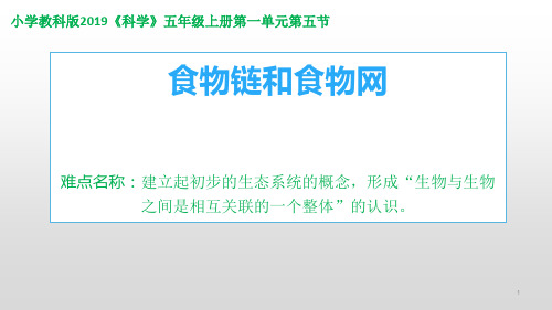 五年级科学上册教学课件-1.5食物链和食物网6-教科版(共26张PPT)