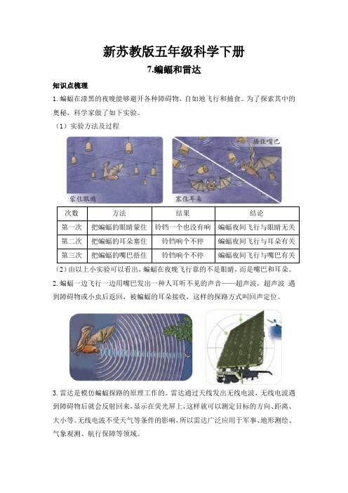 新苏教版五年级科学(下册)7蝙蝠和雷达知识点梳理及经典考题练习