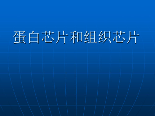 蛋白芯片的应用