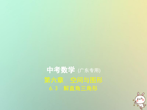2019年中考数学一轮复习 专题6 空间与图形 6.3 解直角三角形(试卷部分)课件