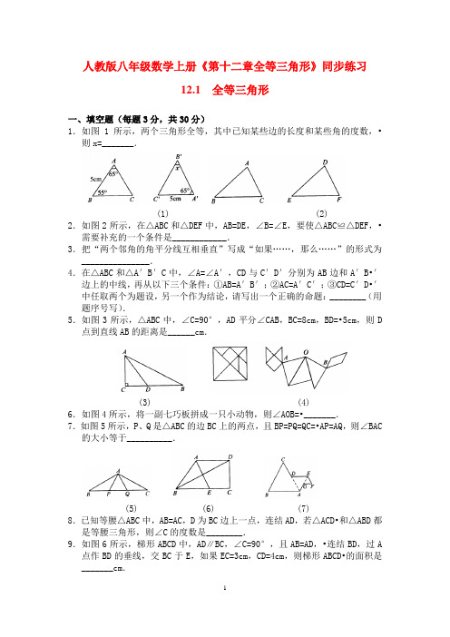 人教版八年级数学上册《第十二章全等三角形》同步练习