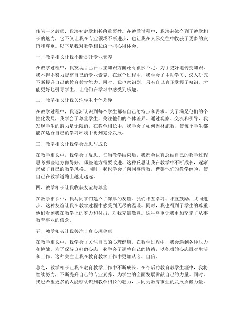 教师教学相长心得体会